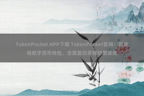 TokenPocket APP下载 TokenPocket官网：区块链数字货币钱包，全面复旧多链钞票惩处